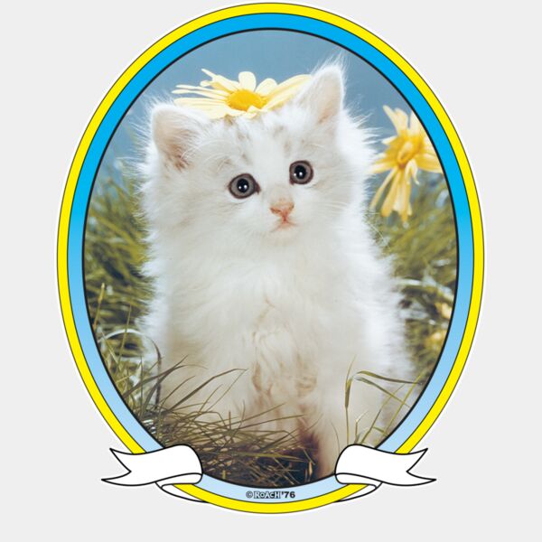 RS370089 Kitty Thumbnail