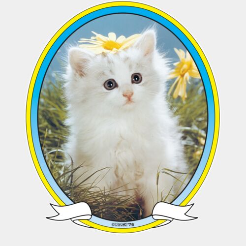 RS370089 Kitty Thumbnail