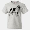 HD Cotton Youth Short Sleeve T-Shirt Thumbnail