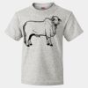 HD Cotton Youth Short Sleeve T-Shirt Thumbnail