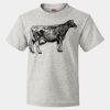 HD Cotton Youth Short Sleeve T-Shirt Thumbnail