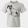 HD Cotton Youth Short Sleeve T-Shirt Thumbnail