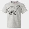 HD Cotton Youth Short Sleeve T-Shirt Thumbnail