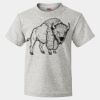 HD Cotton Youth Short Sleeve T-Shirt Thumbnail