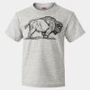 HD Cotton Youth Short Sleeve T-Shirt Thumbnail