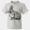 HD Cotton Youth Short Sleeve T-Shirt Thumbnail