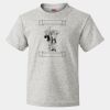 HD Cotton Youth Short Sleeve T-Shirt Thumbnail