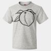 HD Cotton Youth Short Sleeve T-Shirt Thumbnail