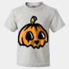 HD Cotton Youth Short Sleeve T-Shirt Thumbnail