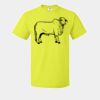 HD Cotton Short Sleeve T-Shirt Thumbnail