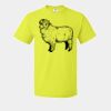 HD Cotton Short Sleeve T-Shirt Thumbnail