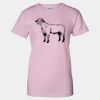 Women's Ultra Cotton® T-Shirt Thumbnail