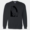 DryBlend Crewneck Sweatshirt Thumbnail
