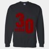 DryBlend Crewneck Sweatshirt Thumbnail
