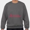 Premium Cotton® Sweatshirt Thumbnail